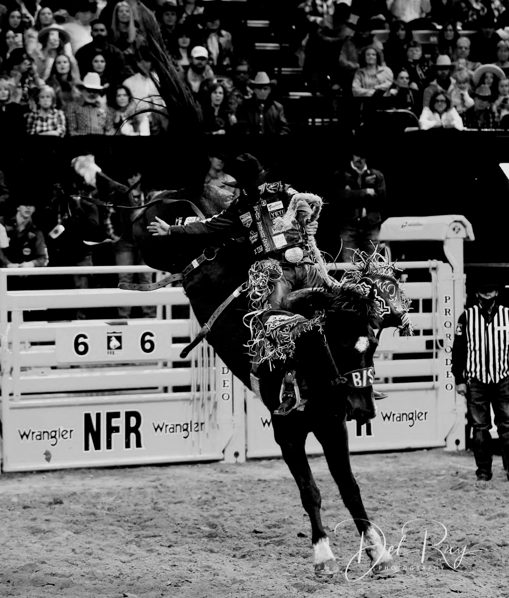 Saddle Bronc Riding